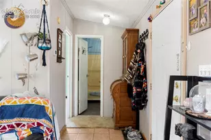 171 Star View Trail, Divide, CO 80814 - Photo 11