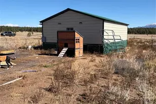 1925 Doe Valley Rd, Guffey, CO 80820 - Photo 29