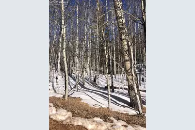 3015 N Mountain Estates Road, Florissant, CO 80816 - Photo 5