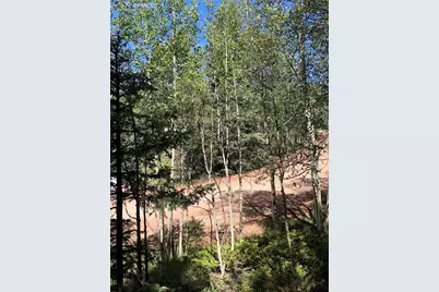 3015 N Mountain Estates Road, Florissant, CO 80816 - Photo 5