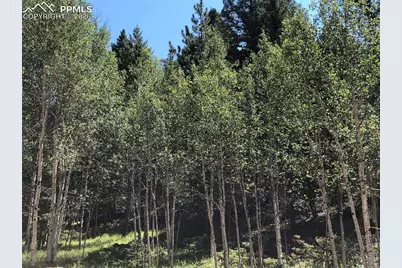 3015 N Mountain Estates Road, Florissant, CO 80816 - Photo 3