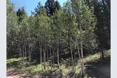 3015 N Mountain Estates Road, Florissant, CO 80816 - Photo 3