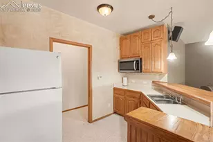 390 Scrub Oak Cir, Monument, CO 80132 - Photo 29