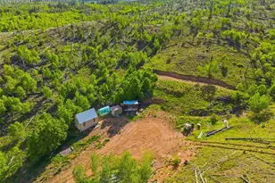 77 Lakeview Circle, Florissant, CO 80816 - Photo 1
