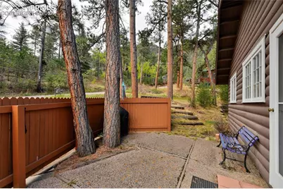 9455 Mohawk Trail, Cascade, CO 80809 - Photo 23