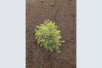 1117 Appleby Drive, Sedalia, CO 80135 - Photo 31