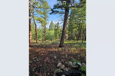 1117 Appleby Drive, Sedalia, CO 80135 - Photo 17