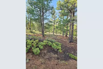 1117 Appleby Drive, Sedalia, CO 80135 - Photo 7