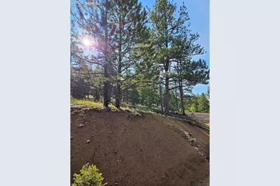 1117 Appleby Drive, Sedalia, CO 80135 - Photo 33