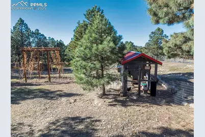 19150 White Pine Lane, Colorado Springs, CO 80908 - Photo 15