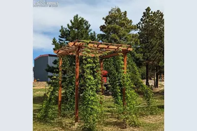 19150 White Pine Lane, Colorado Springs, CO 80908 - Photo 49