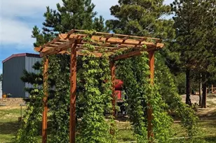 19150 White Pine Ln, Colorado Springs, CO 80908 - Photo 49