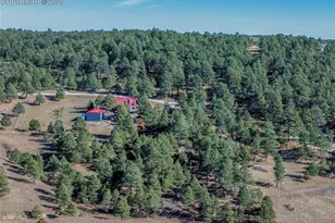 19150 White Pine Ln, Colorado Springs, CO 80908 - Photo 11