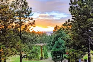 19150 White Pine Ln, Colorado Springs, CO 80908 - Photo 5