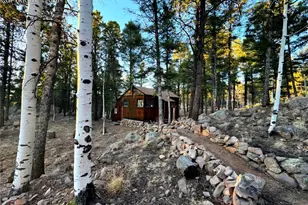 2063 Vagabond Creek Dr, Lake George, CO 80827 - Photo 5