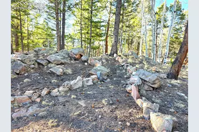 2063 Vagabond Creek Drive, Lake George, CO 80827 - Photo 29