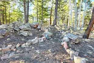 2063 Vagabond Creek Dr, Lake George, CO 80827 - Photo 29