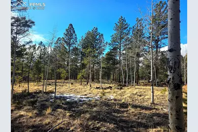 2063 Vagabond Creek Drive, Lake George, CO 80827 - Photo 43