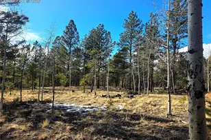 2063 Vagabond Creek Dr, Lake George, CO 80827 - Photo 43