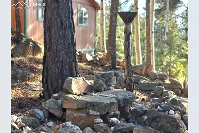 2063 Vagabond Creek Drive, Lake George, CO 80827 - Photo 39