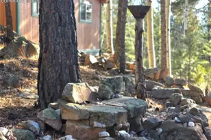 2063 Vagabond Creek Dr, Lake George, CO 80827 - Photo 39