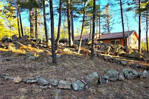 2063 Vagabond Creek Dr, Lake George, CO 80827 - Photo 3