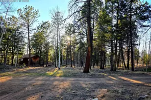 2063 Vagabond Creek Dr, Lake George, CO 80827 - Photo 25