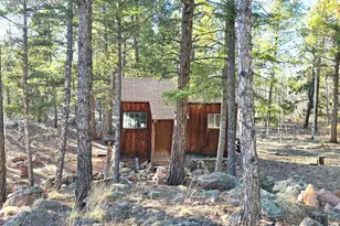 2063 Vagabond Creek Dr, Lake George, CO 80827 - Photo 31