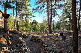 2063 Vagabond Creek Dr, Lake George, CO 80827 - Photo 37