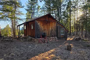 2063 Vagabond Creek Dr, Lake George, CO 80827 - Photo 41