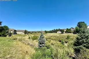4229 High Timberline View, Colorado Springs, CO 80923 - Photo 21