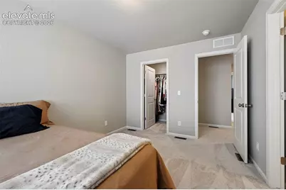 9240 Lytle Grove, Colorado Springs, CO 80927 - Photo 21