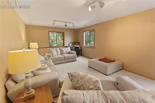 566 Spring Valley Dr, Divide, CO 80814 - Photo 19