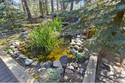 566 Spring Valley Drive, Divide, CO 80814 - Photo 29