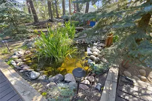 566 Spring Valley Dr, Divide, CO 80814 - Photo 29