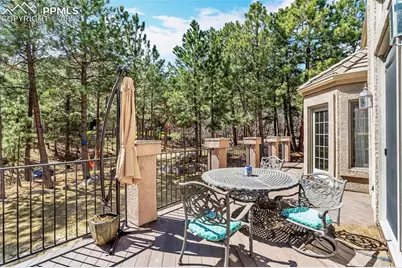 583 Silver Oak Grove, Colorado Springs, CO 80906 - Photo 41