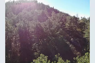 Oakdale Terrace, Palmer Lake, CO 80133 - Photo 5