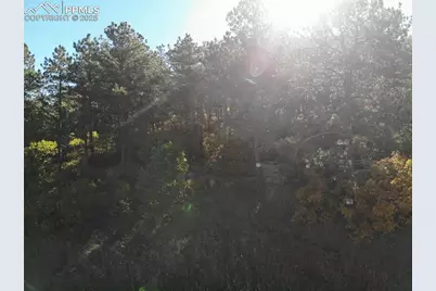 Oakdale Terrace, Palmer Lake, CO 80133 - Photo 15