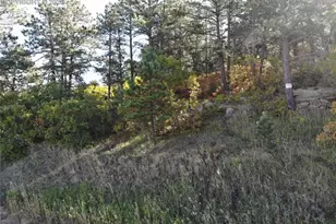 Oakdale Terrace, Palmer Lake, CO 80133 - Photo 1