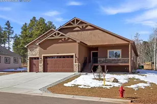 1313 Stone Ridge Dr, Woodland Park, CO 80863 - Photo 3