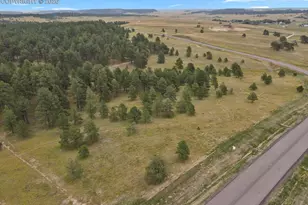 10385 Alamar Wy, Colorado Springs, CO 80908 - Photo 1