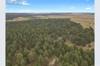 10385 Alamar Way, Colorado Springs, CO 80908 - Photo 7