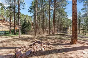 1210 W Lorraine Ave, Woodland Park, CO 80863 - Photo 41