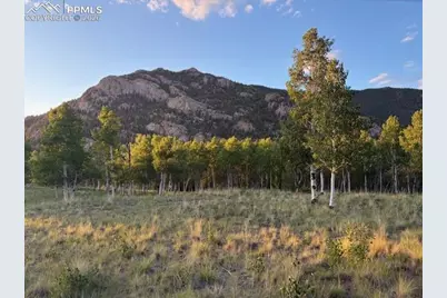 206 Emerald Way, Lake George, CO 80827 - Photo 9