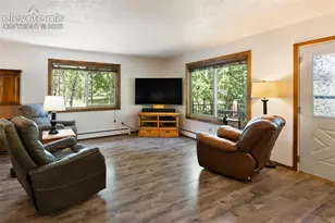 835 E Northwoods Dr, Woodland Park, CO 80863 - Photo 7
