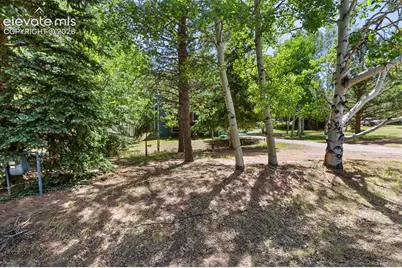835 E Northwoods Drive, Woodland Park, CO 80863 - Photo 35