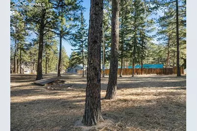 523 N Walnut Street, Woodland Park, CO 80863 - Photo 31