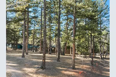 523 N Walnut Street, Woodland Park, CO 80863 - Photo 41