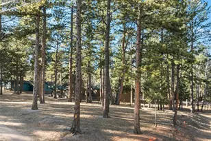 523 N Walnut St, Woodland Park, CO 80863 - Photo 41