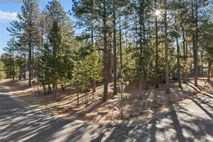 523 N Walnut St, Woodland Park, CO 80863 - Photo 37